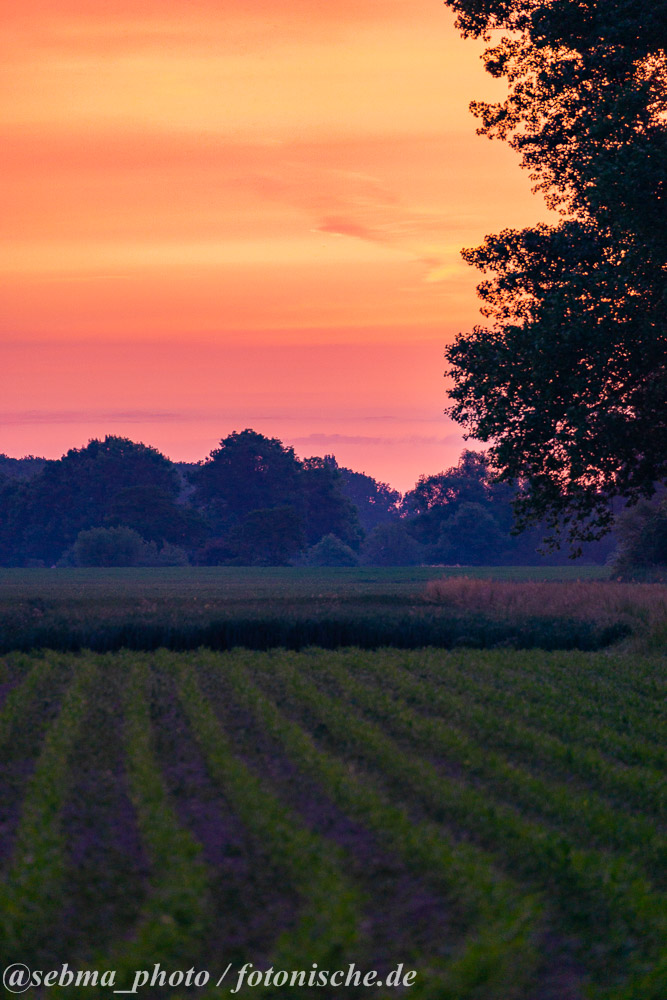 Feld und Himmel auf einem Landschaftsfoto